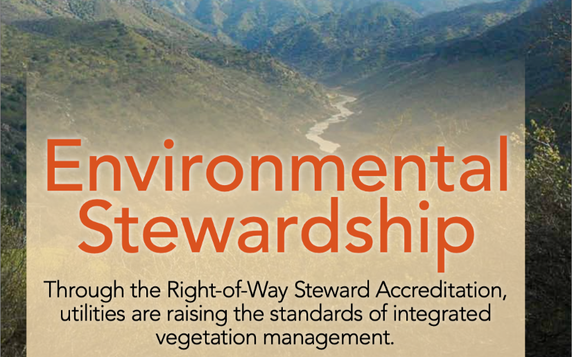 Environmental Stewardship: Raising the Standards of IVM